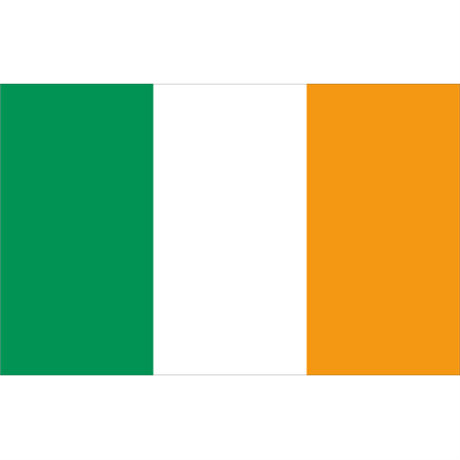 Gästflagga Irland 30x20 cm