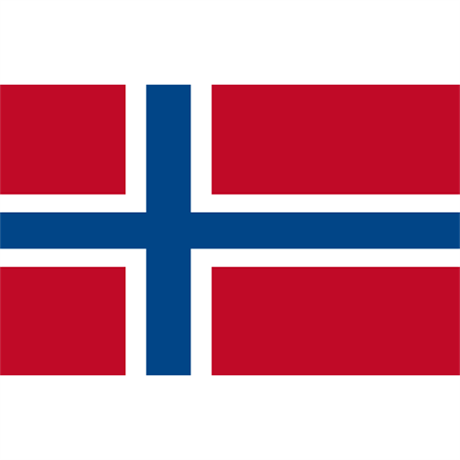 Gästflagga Norge 30x20 cm
