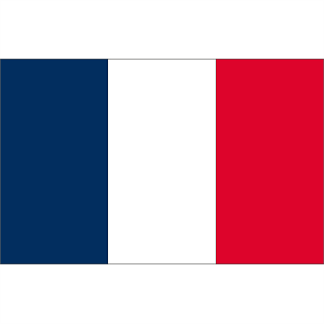 Gästflagga Frankrike 30x20cm