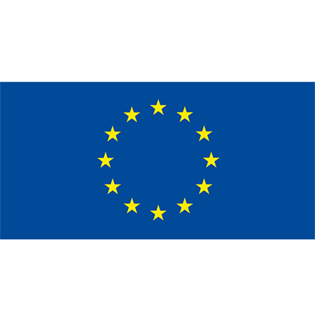 Gästflagga EU 30x20cm