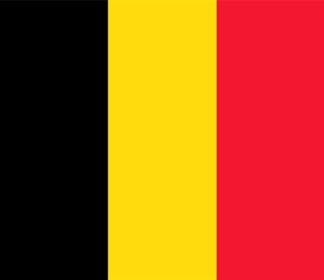 Gästflagga Belgien 30x20cm